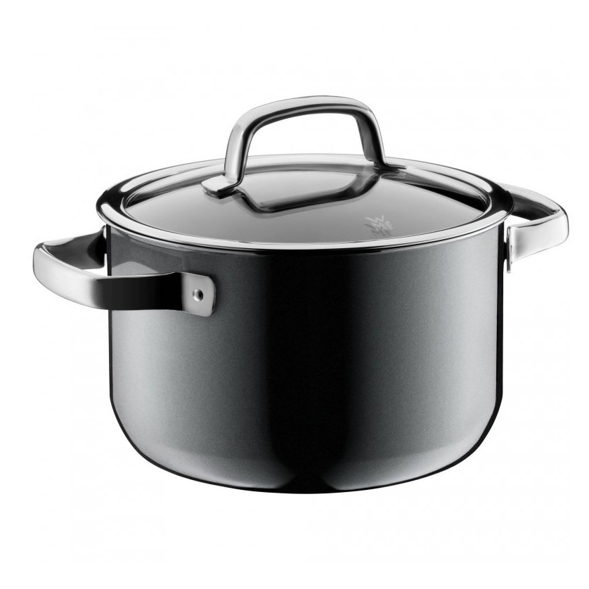 20882_hrnec-vysoky-fusiontec-wmf-platina-20-cm-1